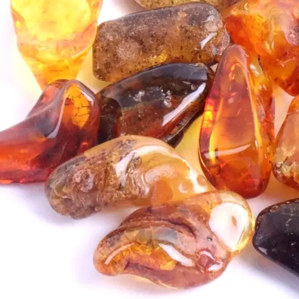 Authentic Baltic Amber Tumbled Stones