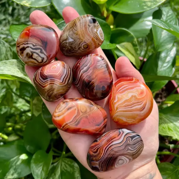 Banded Sardonyx Tumbled Stones