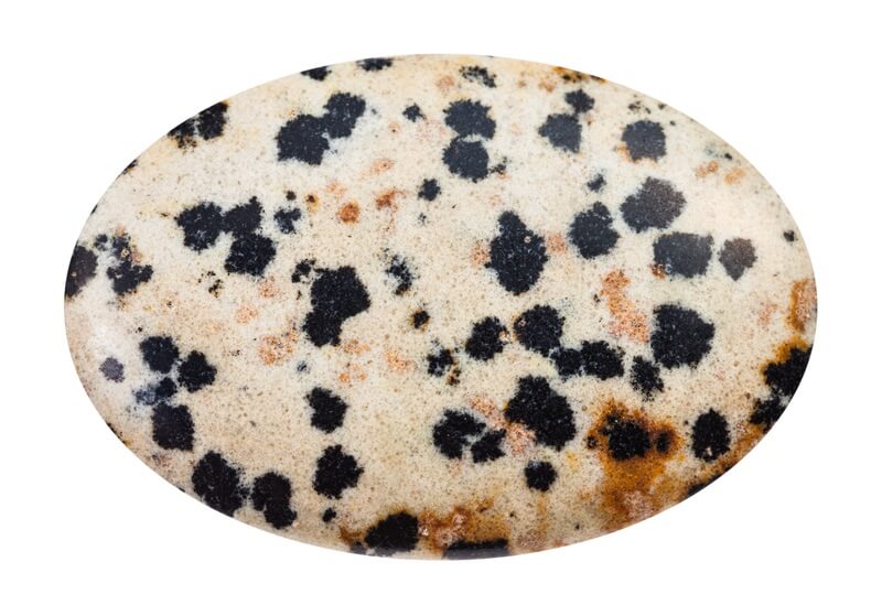 Round piece of Dalmatian Jasper