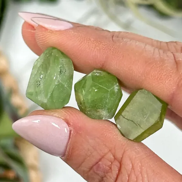Three pieces of green Peridot Crystals