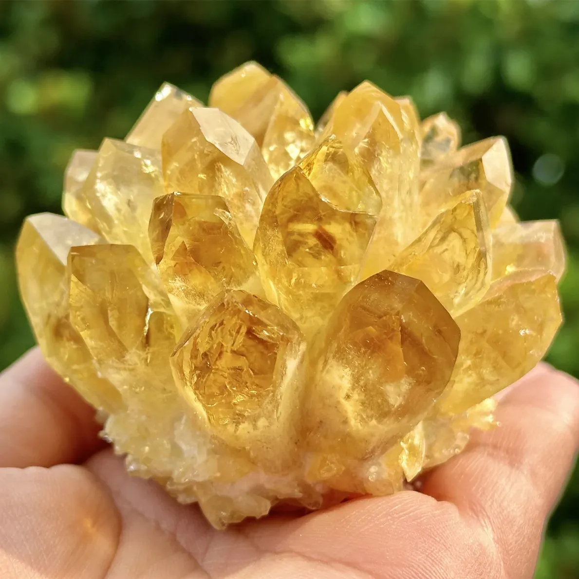 Hand holding yellow natural Citrine cluster
