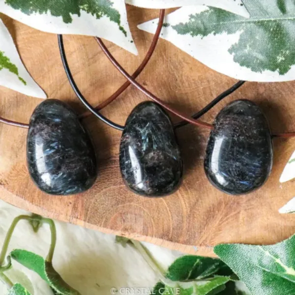 Polished oval Arfvedsonite with cord Necklace