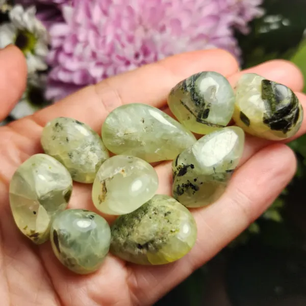 A group of Polished Prehnite Stones on the palm of the hand