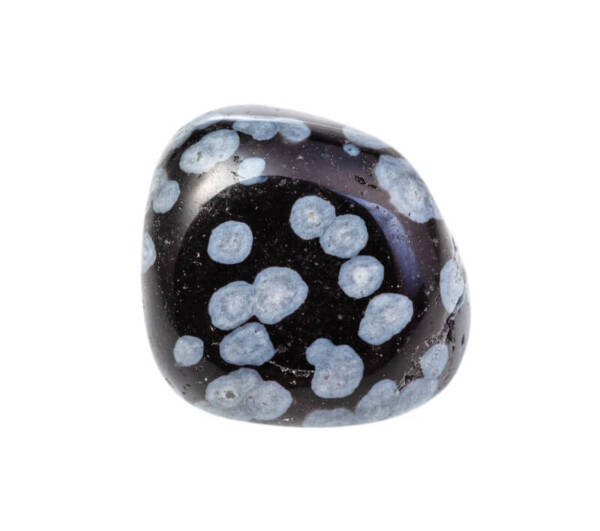 One polished piece of Snowflake Obsidian