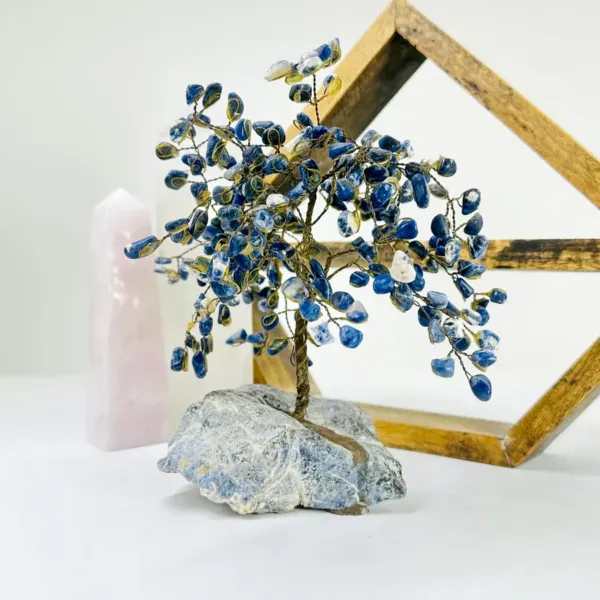 Sodalite Crystal Tree on Sodalite Base
