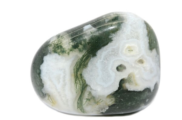 A polished piece of Tree Agate